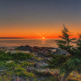 Grateful by Penny Polakoff