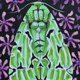 Green Moth by Lucia Stewart