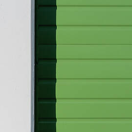 Green Shade by Chad Thunberg