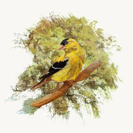 Green Shades Goldfinch by Angeles M Pomata