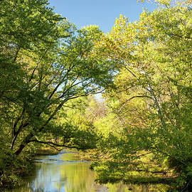 Greenville Creek Ohio by Dan Sproul