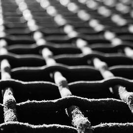 Grilled Past by Matt Halvorson