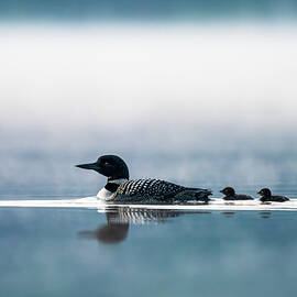 Guided by Love by James Overesch