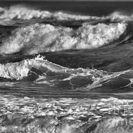 Gulf Coast Ocean Swells Black And White by Adam Jewell
