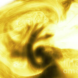 Gyration  by Jorgo Photography