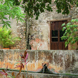 Hacienda Ochil Wall by William Scott Koenig