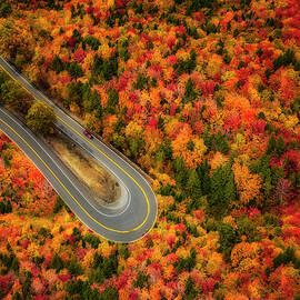 Hairpin Turn NY by Susan Candelario