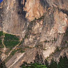 Half Dome in Summer Light - Yosemite, California - Vertical by Abbie Matthews