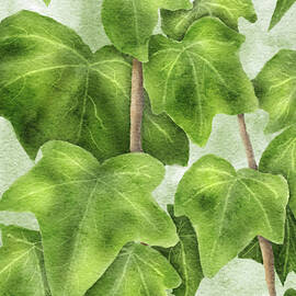 Hand-Drawn Ivy Leaves Wall Art A Botanical Masterpiece by Snow Iris Studio