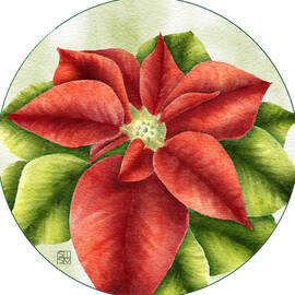 Hand-drawn Poinsettia Art Print A Botanical Addition to Your Holiday Decor and Gifts by Snow Iris Studio
