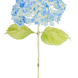 happy day by Catherine Bede