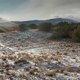 Happy Sun Rays by Mary Lee Dereske