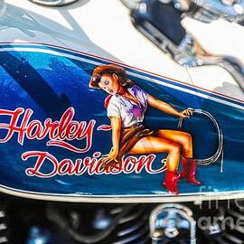 Harley Davidson cowgirl pin-up by Stefano Senise