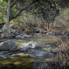 Harmony Grove by Alison Frank