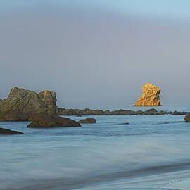 Harris Beach Golden Hour by Mike Lee
