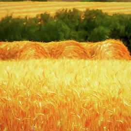 Harvest time in Idaho by Tatiana Travelways