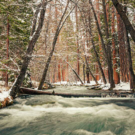 Hat Creek Winter Wonderland. Snowy Northern California Creek and Forest by Mike Lee