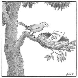 Hatched by Harry Bliss