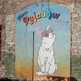 Have A Rainbow Day by Mary Lee Dereske