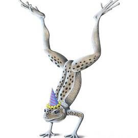 Have a Toad-ally Awesome Birthday by Valerie White