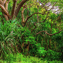 Hawaiian Jungle by Abbie Matthews