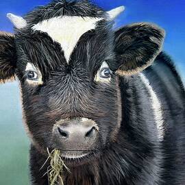 Hay Baby Moos Your Daddy