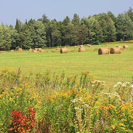 Hay bales and wild flowers by Tatiana Travelways