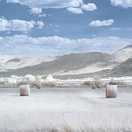 Hay Field in Invisible Light - Lassen County California by Mike Lee