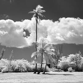 Head In The Clouds by Gian Smith