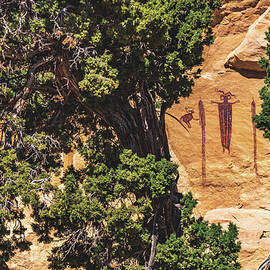 Head of Sinbad and Trees, Utah by Abbie Matthews