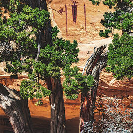 Head of Sinbad with Tree, Utah - Vertical by Abbie Warnock