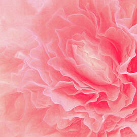 Heavenly Pink by Dodie Ross