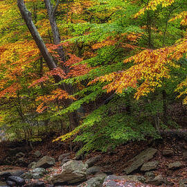 Hedden Park NJ by Susan Candelario