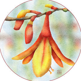 Heliconia Flowers by Snow Iris Studio