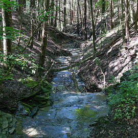 Hemlock Gorge 39 by William Norton