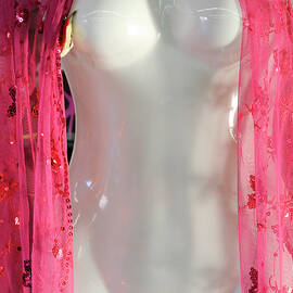 Her Skin was White and Her Scarf was Red by Mary Lee Dereske