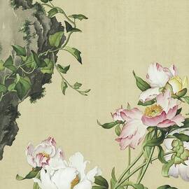 Herbaceous peonies - Chinese flower paintings by Giuseppe Castiglione by Giuseppe Castiglione Lang Shining