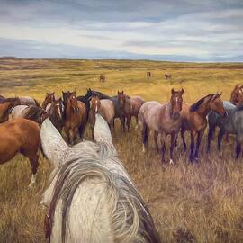 Herd of Horses Near Ardmore South Dakota by Rebecca Herranen
