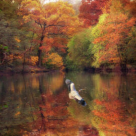 Heron Ascending   by Jessica Jenney