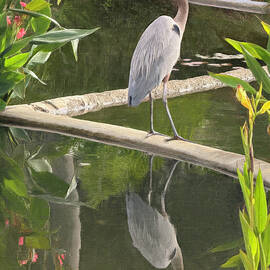 Heron by the Tranquil Pond by Barbara Siegel