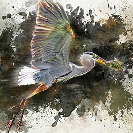 Heron Catching a Fish Watercolor by Kelley King