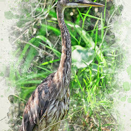 Heron in Vibrant Foliage Watercolor by Kelley King