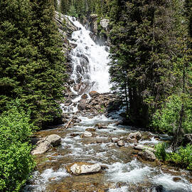 Hidden Falls by Diane Moller