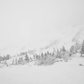 Hidden Ravine by Jeff Sinon