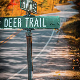 Highway 42 Autumn Crossroads by Duluth To Door County Photography