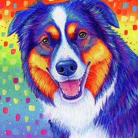 Hiro the Australian Shepherd Dog by Rebecca Wang