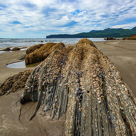 Hobuck Beach Rock Formation by Tommy Farnsworth