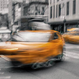 Hold That Taxi by Penny Polakoff
