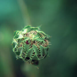 Holding on by Stacy Abbott