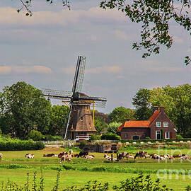 Holland Dairy Farm by Ron Long Ltd Photography